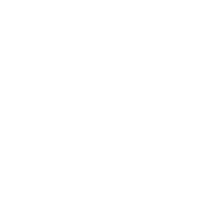Icon of an adult